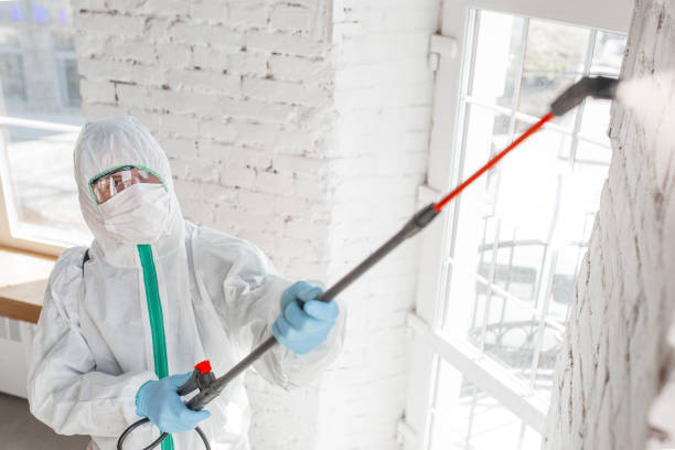 Best Air Quality Testing for Mold Spores  in Miami Springs, FL
