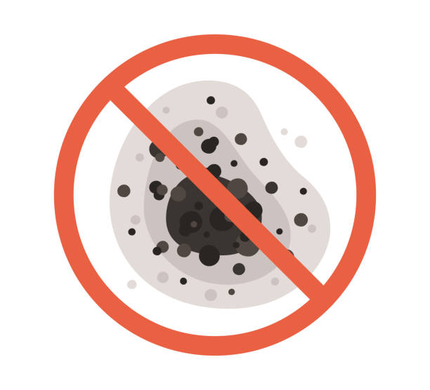Best Residential Mold Inspection & Testing  in Miami Springs, FL