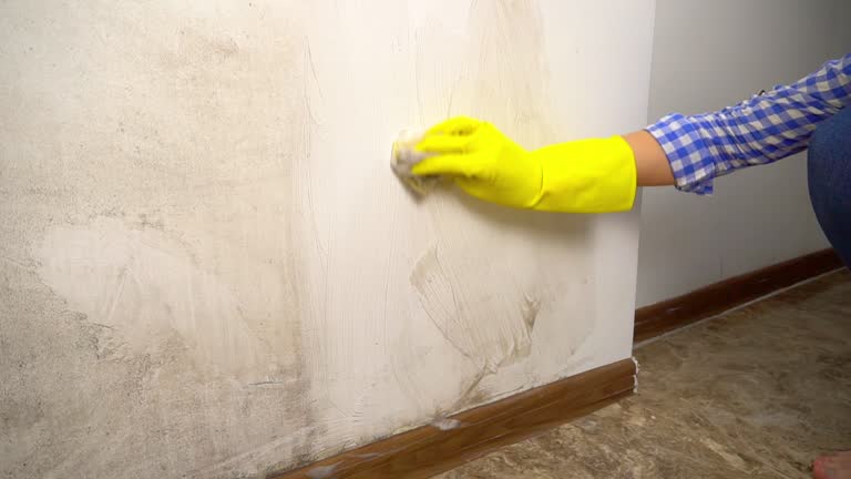 Best Forensic Mold Investigation  in Miami Springs, FL