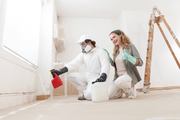 Best Commercial Mold Inspection  in Miami Springs, FL