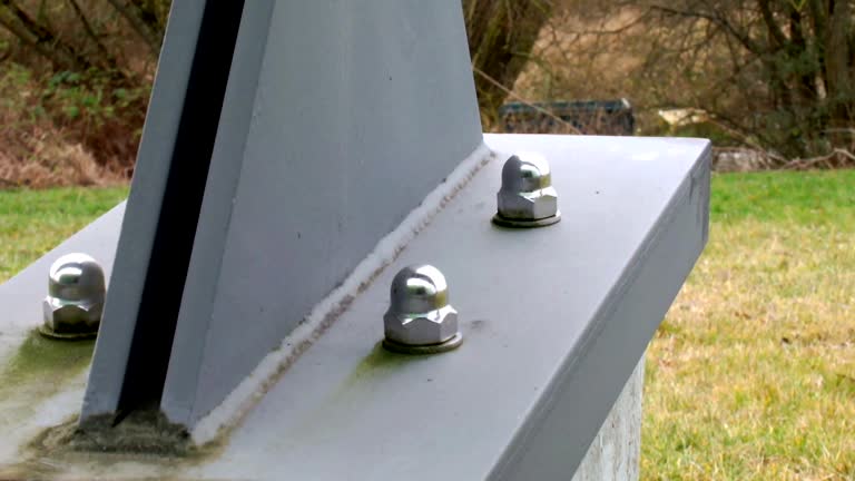 Best Mold Damage Restoration  in Miami Springs, FL